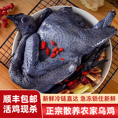 散养乌鸡正宗五黑鸡现杀新鲜净膛冷冻乌骨鸡煲汤整只土鸡月子送礼
