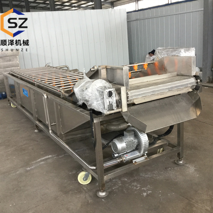 顺泽销售 梅干菜清洗机 蕨菜清洗机 气泡冲浪清洗机