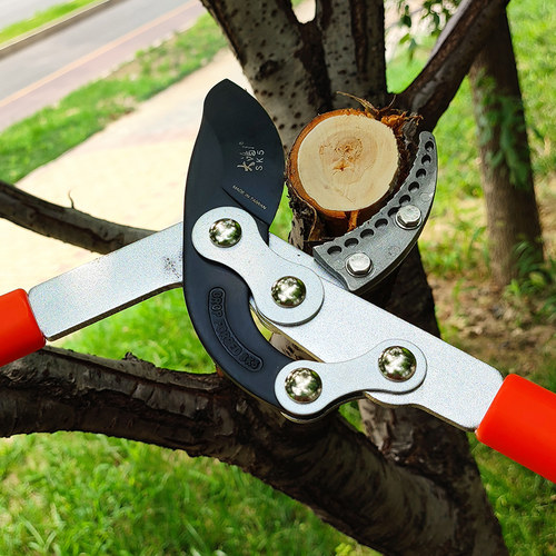 剪枝果树修枝剪刀园艺修剪树枝园林省力修粗枝剪家用工具剪子神器