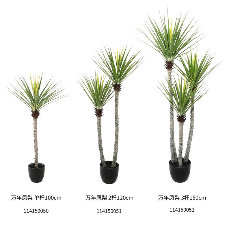 仿真植物盆栽万年凤梨人造花龙血铁树龙舌兰商城酒店装饰小树