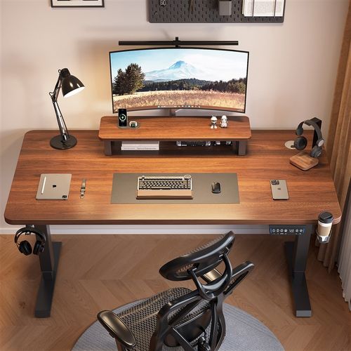 双电机电动升降桌家用办公桌电竞桌电脑桌可升降学习桌智能升降桌