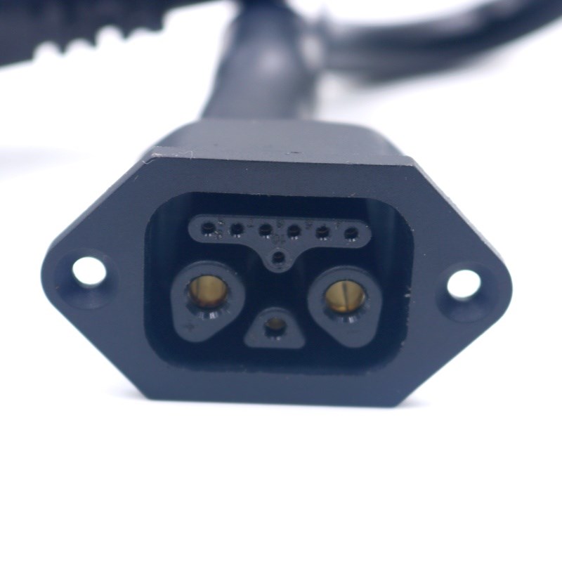 新国标电动车雅迪插座充电器转换线2+8绿源锂电换电品字通用插头