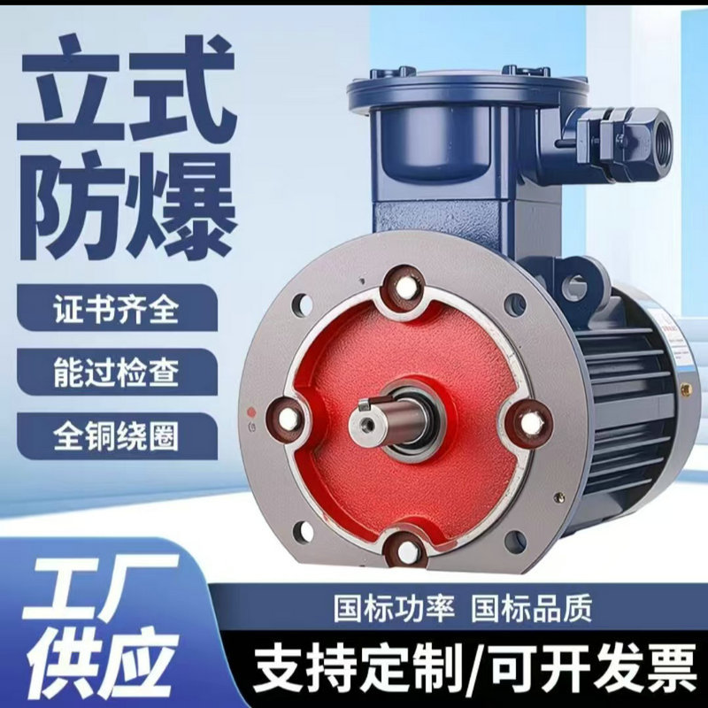 国标防爆电机380V/660V立式