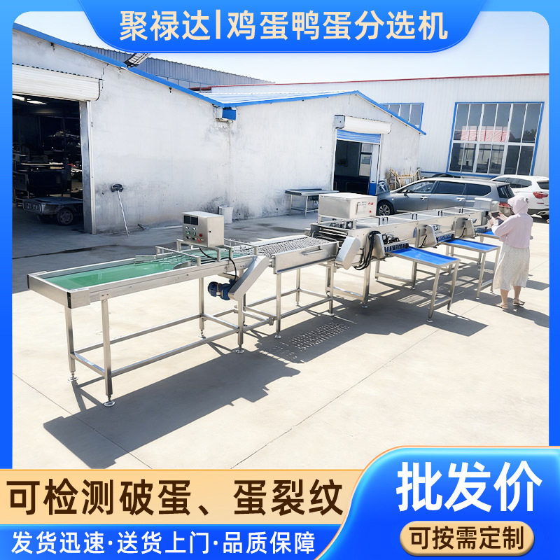 全自动蛋品重量分级机鸡蛋鸭蛋大小分选机蛋类筛选光检检测选蛋机