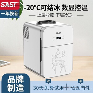 SAST车载迷你小冰箱家车两用