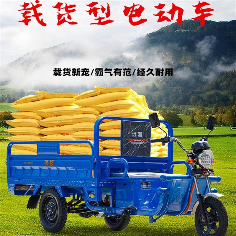 新国标电动三轮车载重王成人拉货三轮快递车新款家用电瓶车农用车