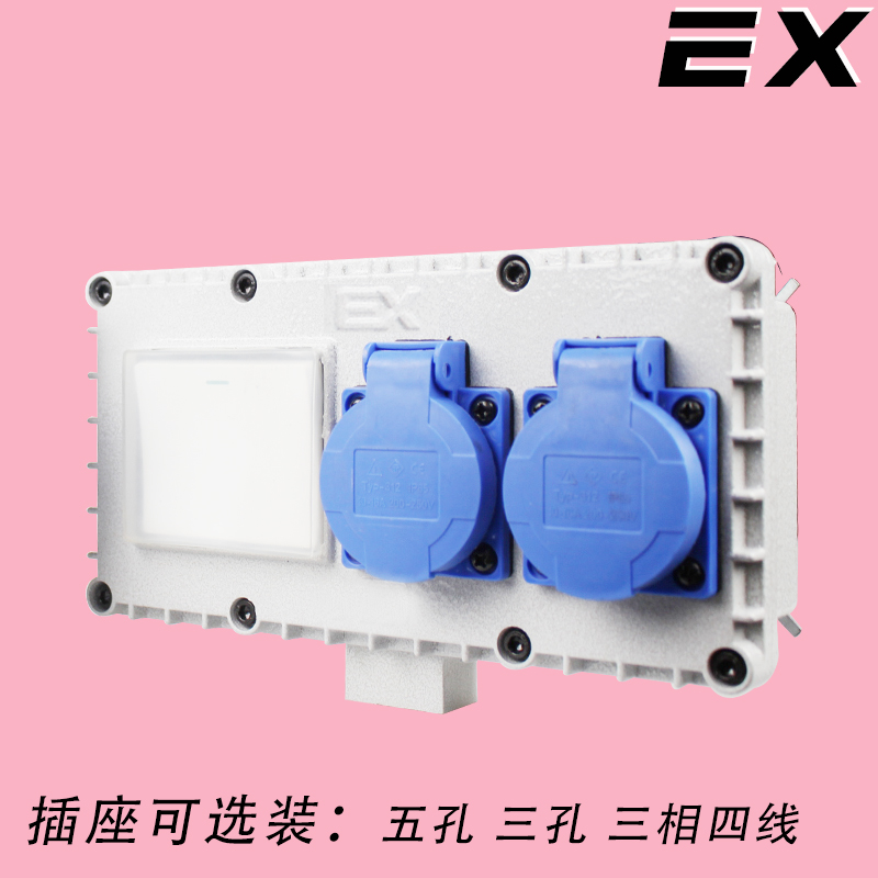 EX防爆开关插座一体防水明装墙壁五孔十孔户外照明工业开关220v