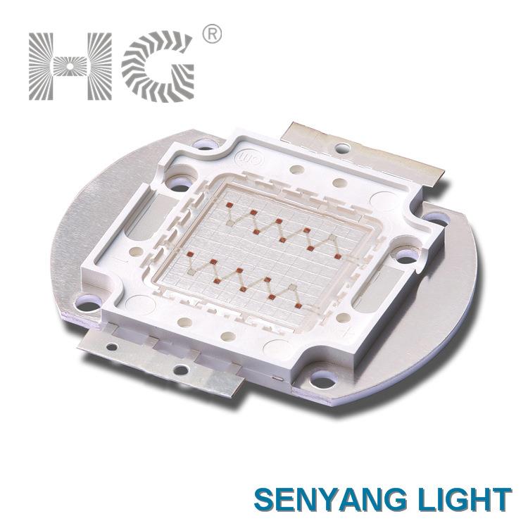 红蓝双色led集成灯珠大功率20W660/460nm 植物灯补光led灯珠