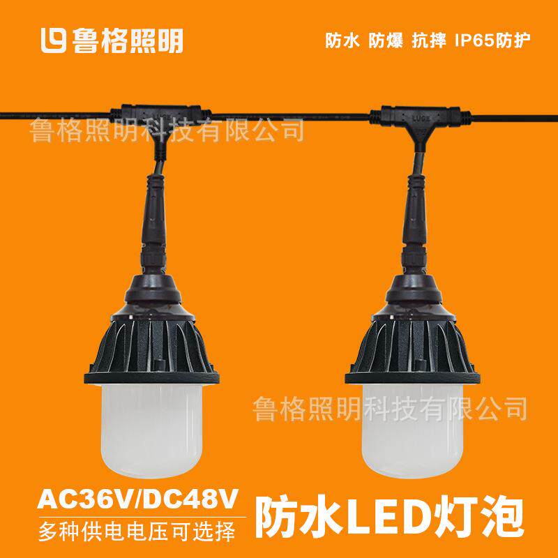 鲁格低压36伏led灯泡防水48V伏养殖场造船厂隧道施工照明专用球泡