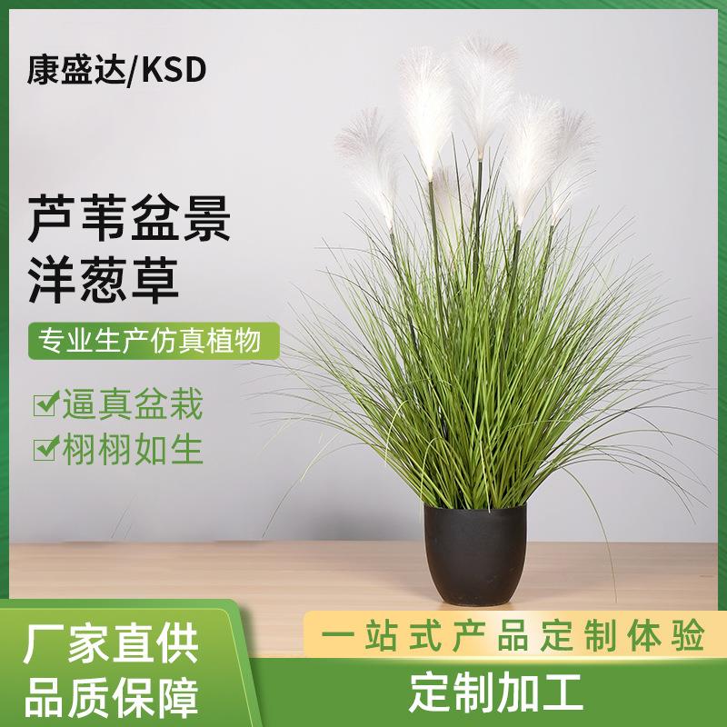仿真盆栽植物芦苇盆景洋葱草仿真草假洋葱草芦苇草蒲草90/120CM