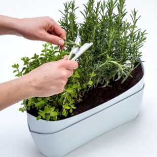 小st P繁茂工具枝克 ai条便捷修家用小剪子原装进口的la园艺捷剪