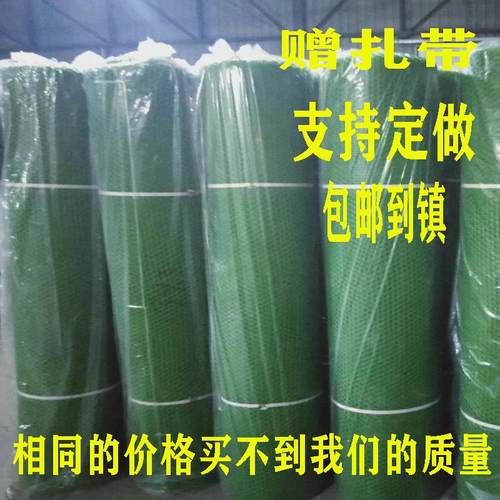 整卷塑料平网育雏网床鸡鸭鹅漏粪网垫脚网养蜂养蚕防护网围养殖网