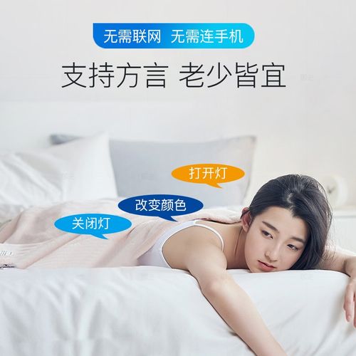 语音智能开关方言版声控灯识别无线遥控控制自定义录音控制器模块