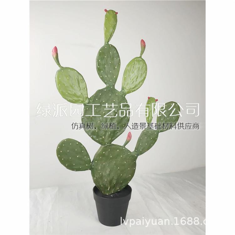 假植物仙人掌盆栽仿真仙人柱绿植盆景北欧室内大型装饰仙人球摆件