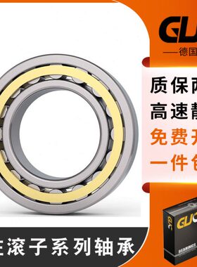 V 轴承E8222MGU 216E22 C1N22 892221T 1M 4PU2 进口 德国  22022