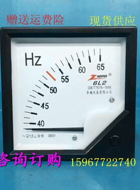 表表型65赫兹 220H压38指针VL周波V0频率Z交流电/式-机械表表2406