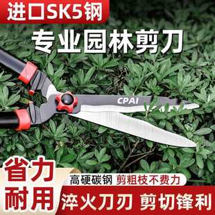 园艺大剪刀修枝剪剪果树园林花剪绿篱剪修剪草坪修剪树枝