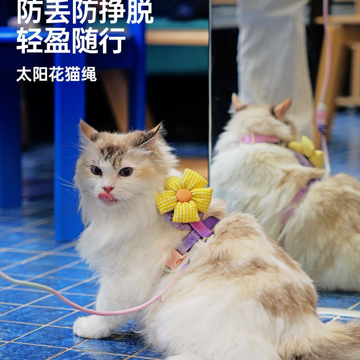Touchcat猫咪牵引绳遛猫绳背带防挣脱工字型溜小猫专用胸背绳,宠物/宠物食品及用品,猫牵引绳,淘宝优惠券,粉丝福利购,淘宝优惠卷