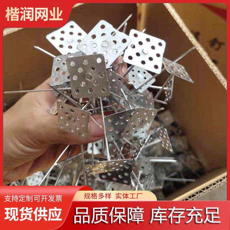 销售铝制保温钉 墙体挂网保温钉玻璃棉坚固铝钉 外墙保温钉