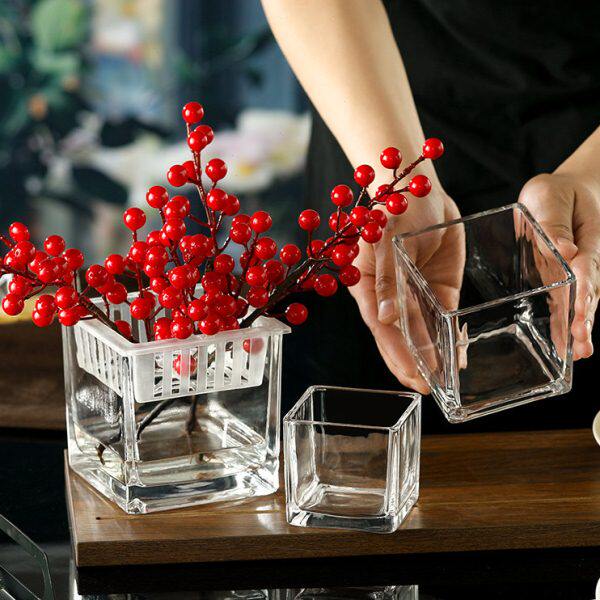 绿植铜钱草透明花瓶绿萝方掌摆件正方形简约水养水培缸玻璃花盆白