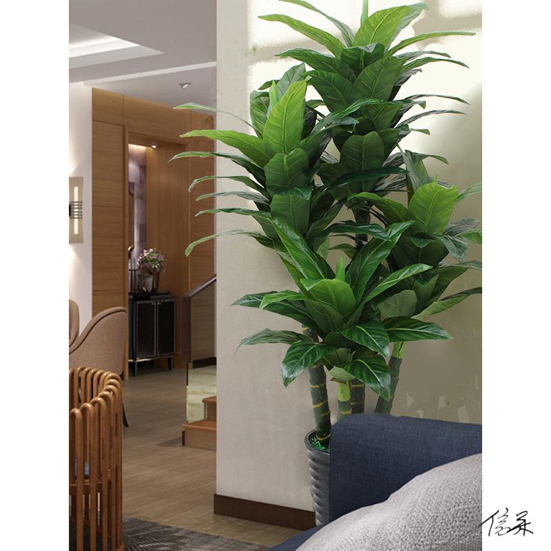 琴叶榕盆栽摄影植物酒店仿生假绿植客厅摆件假树落地假花门口