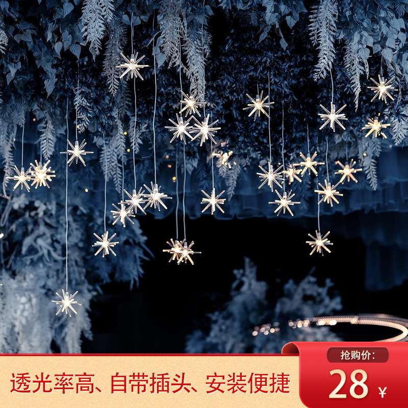 婚庆吊顶挂灯LED灯串婚礼堂布置灯泡户外酒店顶装饰氛围灯装饰灯