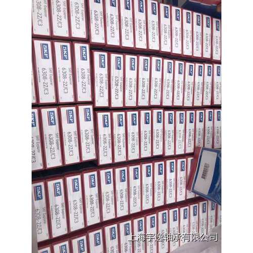 圆柱滚子轴承 RN204 RN205 RN206 RN207 RN208 RN209/EM/ECM