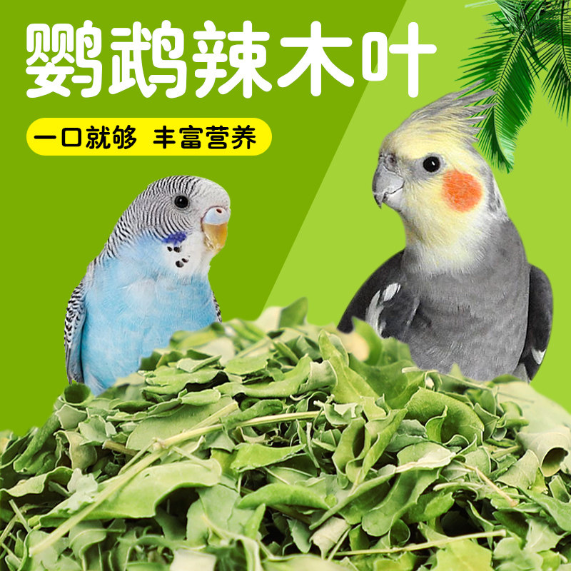 鸟用辣木叶干无添加天然叶片鹦鹉通用零食鸟粮伴侣喂养用品 - 米诺宠宠物用品出品