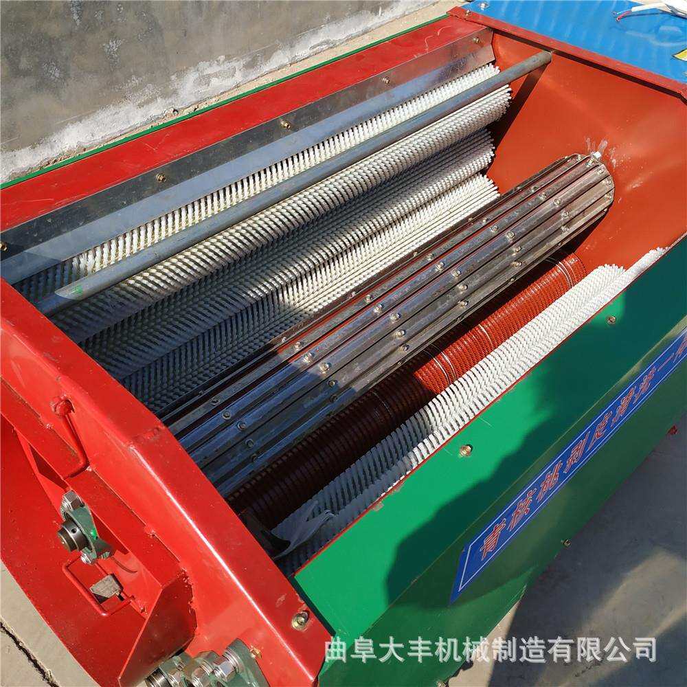 全自动青核桃脱皮机 核桃青皮脱离机 河北文玩核桃剥壳机