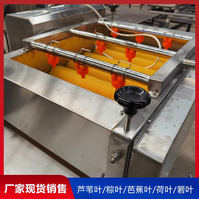 平行毛刷粽叶清洗机自动芦苇叶清洗机循环水14根毛辊叶类清洗机