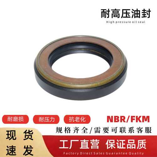 NBR42*65*12优质耐压力型油封耐高温AP2507H混凝土搅拌车密封件
