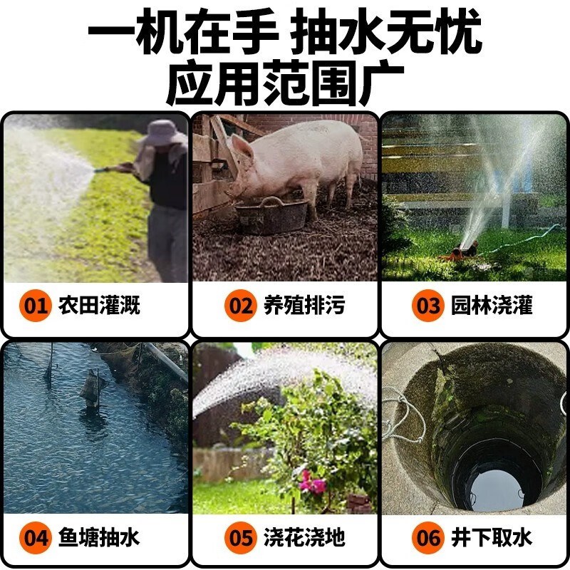 污水泵排污抽粪泥浆l220v小型家用清水泵潜水化粪池吸污泵切割泵