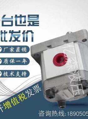 //8/E52205L21I20/122I6/BA2齿轮泵HP21421ND76DBO0ST20LPOL/E5/L