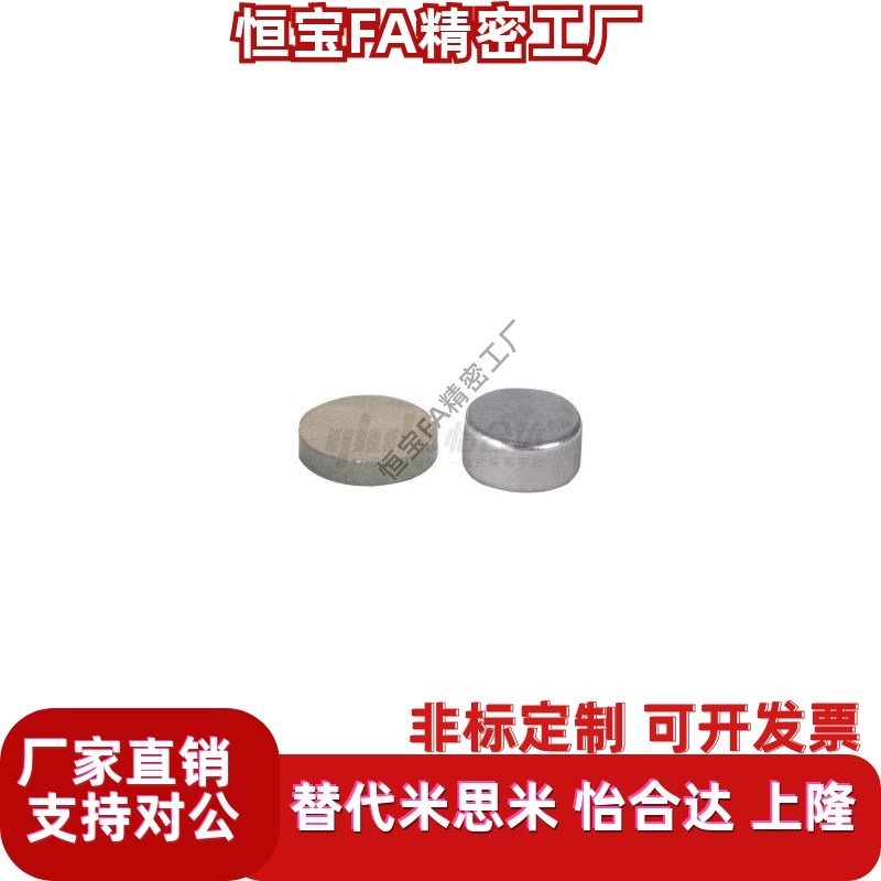 BLS01/02/03-D4/D5/D6/D8/D10-L1/L2G/L3/L4/L5/L6/L8/L10磁铁圆