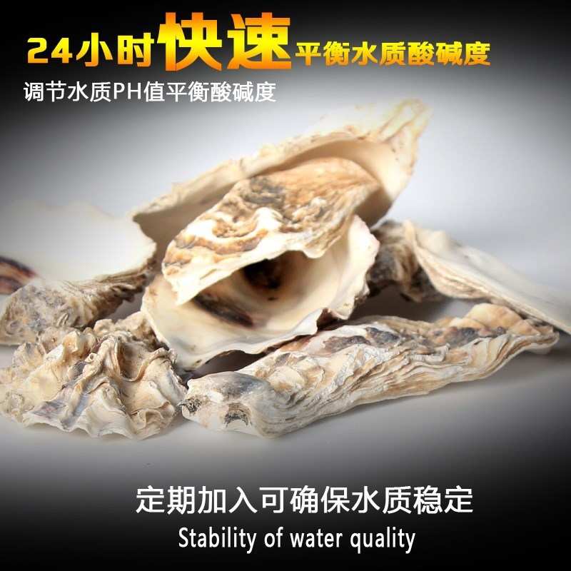 滤材耗壳耗滤材耗鱼池过滤材料(锦鲤池专用滤材) 稳定值增加钙