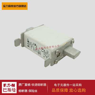 熔断器170M0223 170M0224 170M0225 170M0226 170M0259 170M0260