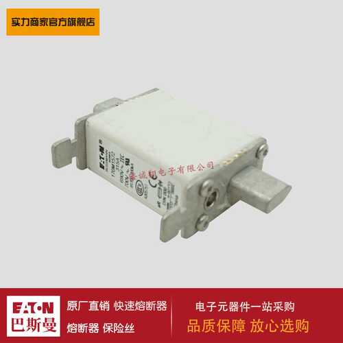 熔断器170M0223 170M0224 170M0225 170M0226 170M0259 170M0260