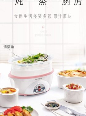 天际（家电） DDZ-W116D预约隔水电炖锅白瓷电炖盅煲汤一锅三胆