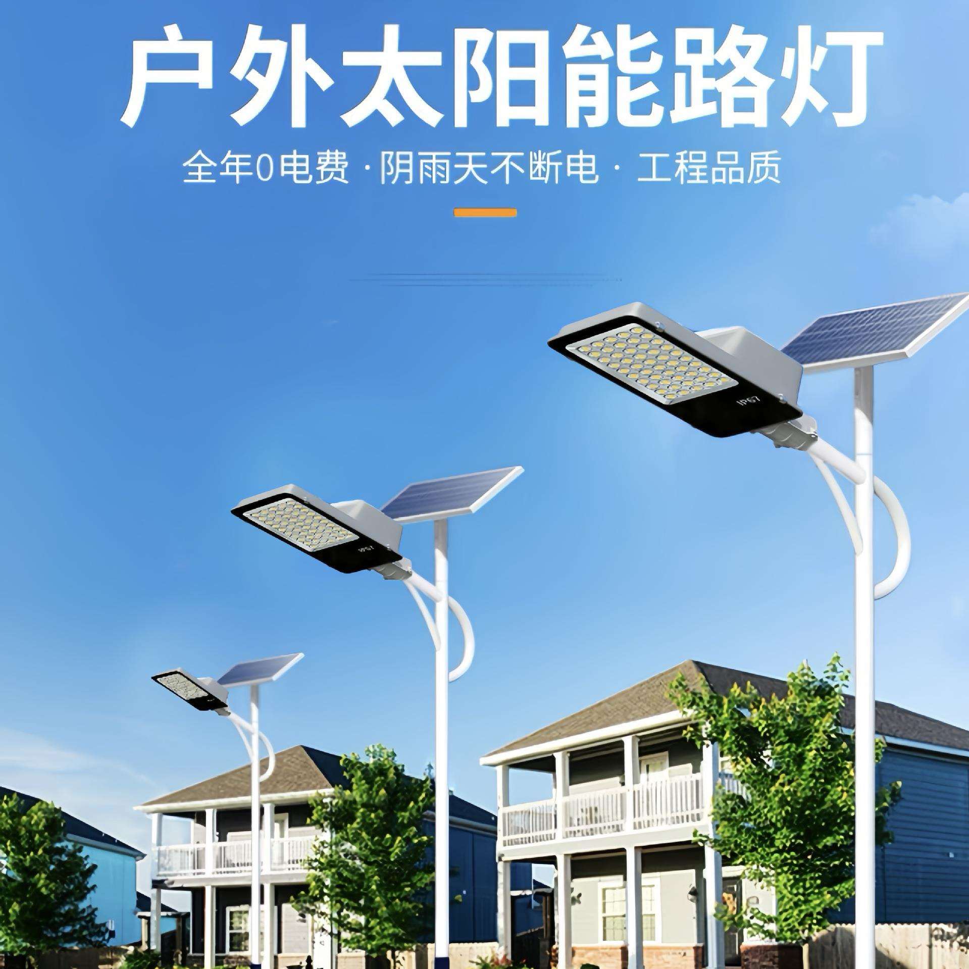 新农村大功率超亮户外城市庭院乡村家用市政工程LED6米太梅桦灯饰