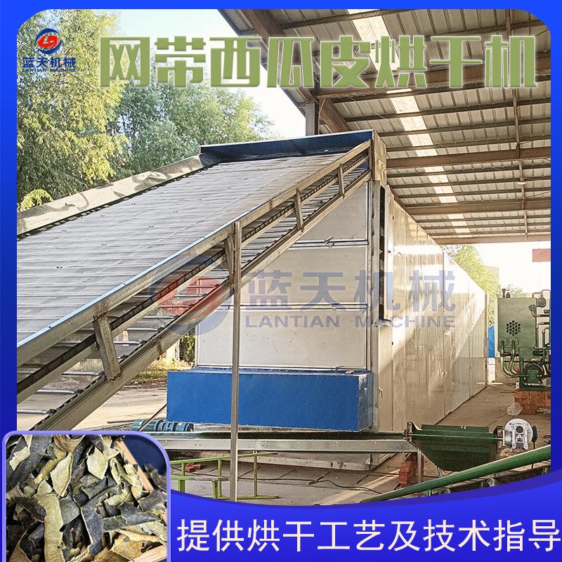 大型西瓜皮烘干机 西瓜青药材烧生物质干燥机 网带西瓜翠烘干设备