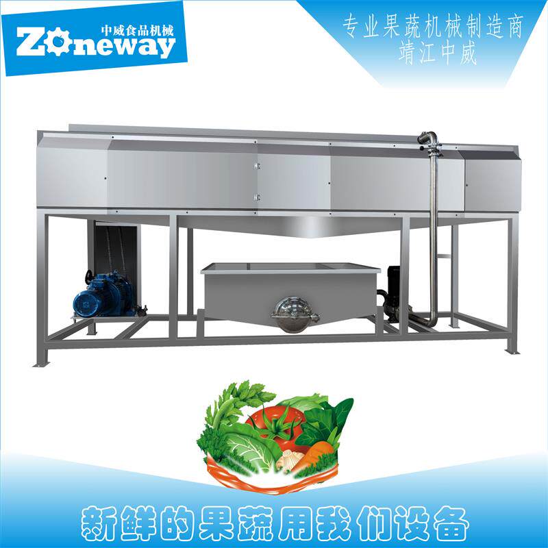 MSJ型毛刷洗果机   果蔬清洗机大枣  毛刷果蔬清洗机全自动