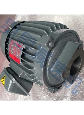 志观精机厂油泵电机 TK3 TK2 TEEC 三相卧式液压油泵马达 TK15010