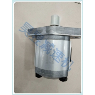 REXPOWER齿轮泵 RGP-F203R-12 RBB-326 RBB-340 高压油泵电机