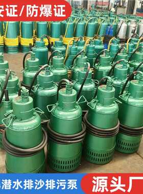 矿用隔爆型潜水排沙电泵BQS1.5kw千瓦350kw防爆潜污水泵380v660伏