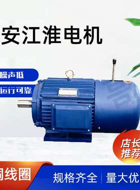 六安江淮电机全铜线圈Y2EJ系列三相异步电机30kw45kw55kw厂家直供
