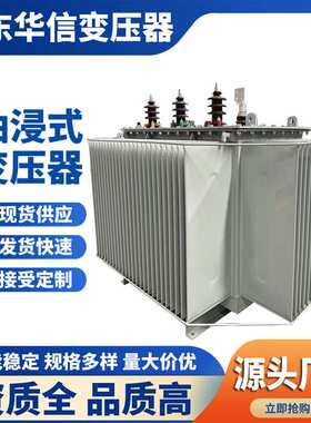 华信 S22-400KVA/10KV-M油浸式变压器