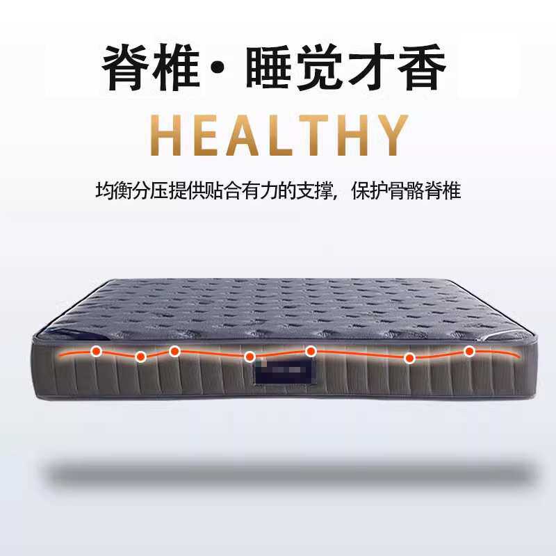 席梦思弹簧乳胶床垫软垫租房专用15cm厚加厚家用椰棕硬垫床垫