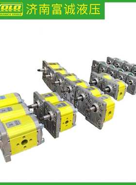 惠供意大利VIVOLO齿轮泵XV2P-D/CX2P5752BLMA平键轴Vivoil液压泵