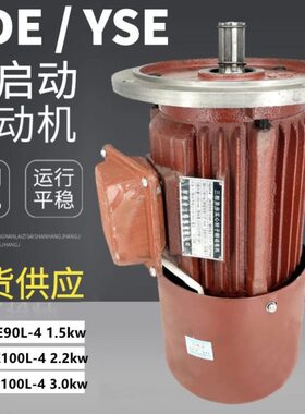 2.L电机车驱动大-10YW电Y动0启10软 刹车电机-SE40磁2K龙门吊LDE4