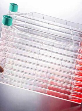 器层CF单层至培养洁特11U置T模10细J大000规装胞细工厂E5胞培养